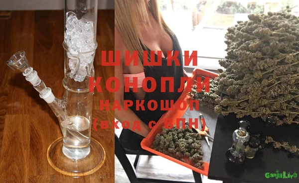 сатива Алзамай