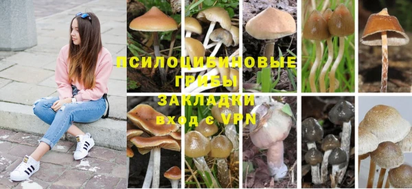 сатива Алзамай