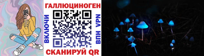 Галлюциногенные грибы Psilocybe Чкаловск