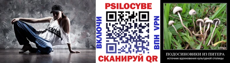 Псилоцибиновые грибы MAGIC MUSHROOMS Чкаловск